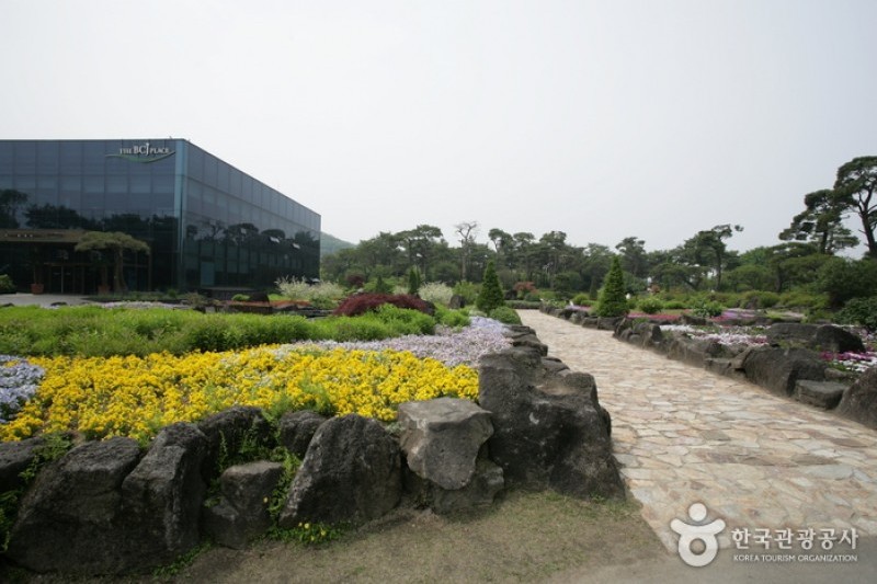碧草池文化樹木園 (23/35)