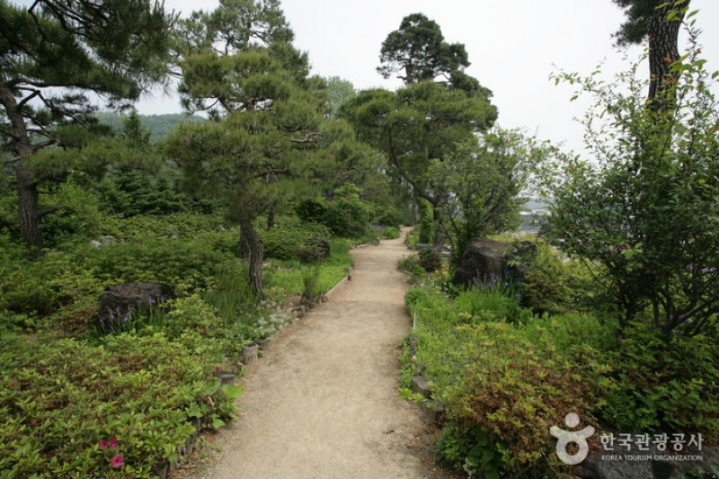 碧草池文化樹木園 (24/35)