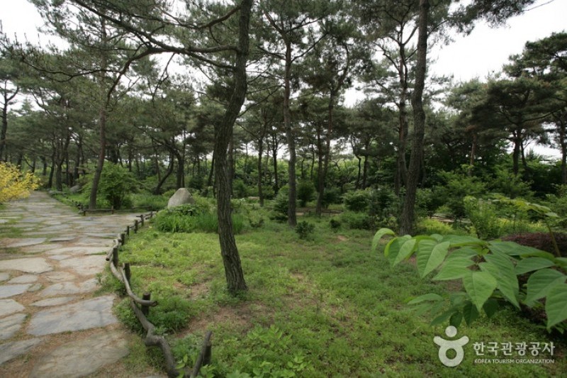 碧草池文化樹木園 (26/35)