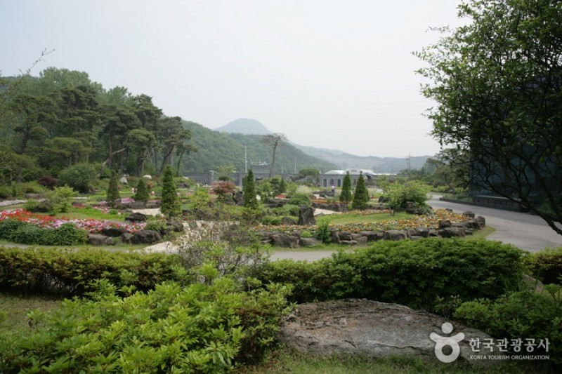 碧草池文化樹木園 (27/35)