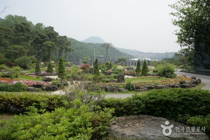 碧草池文化樹木園 (28/35)