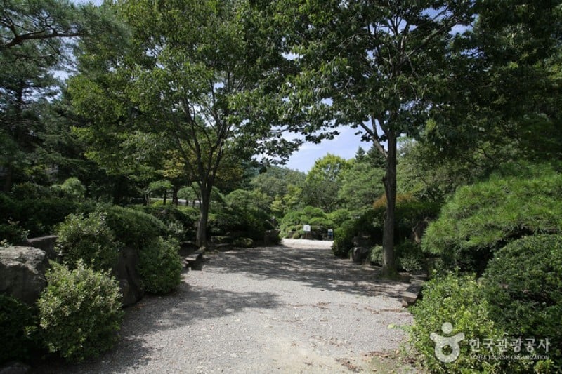 国立樹木園（光陵の森）（ (3/4)