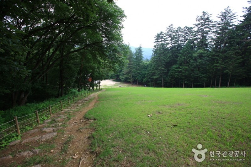 光陵［ユネスコ世界文化遺産］ (7/10)