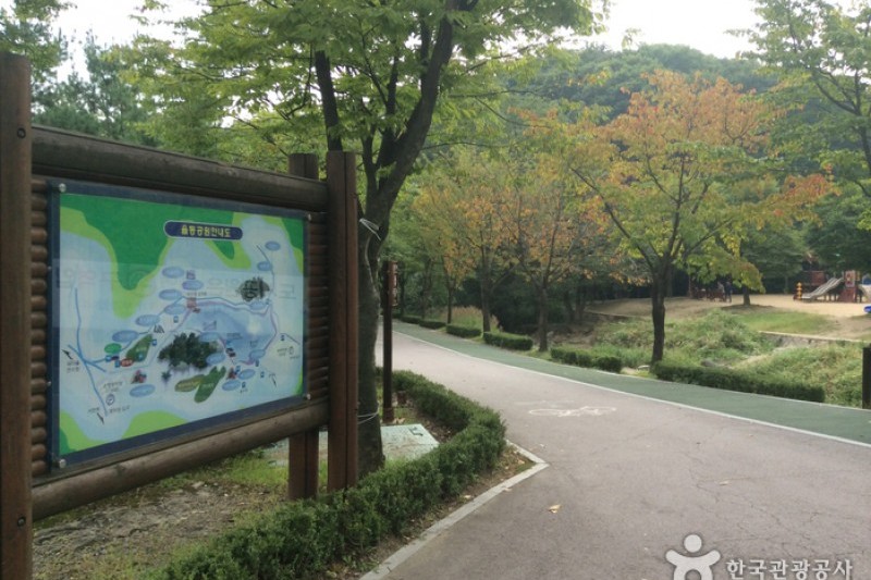 粟洞公園バンジージャンプ (2/12)