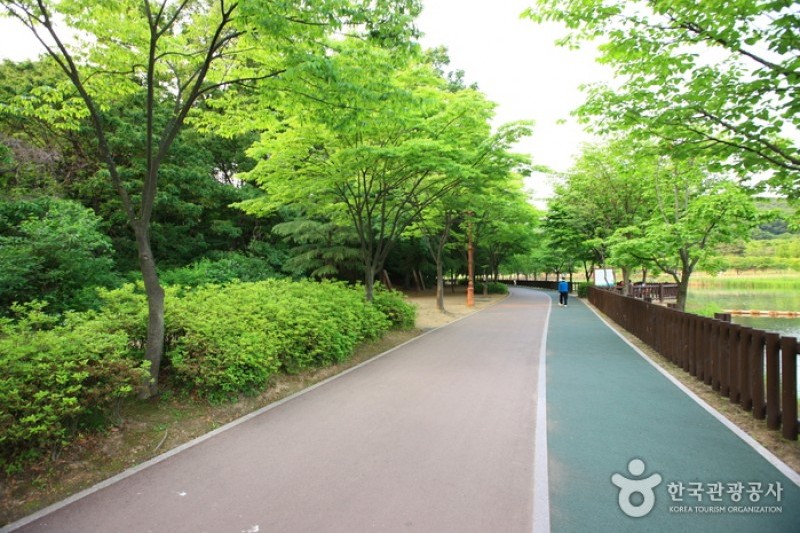 粟洞公園バンジージャンプ (8/12)