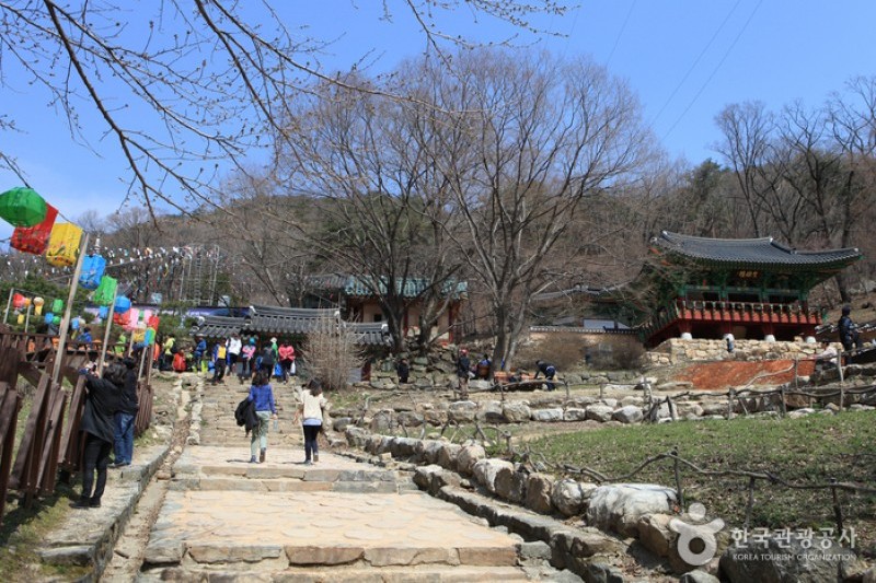 龍門寺（龍門山) (17/18)