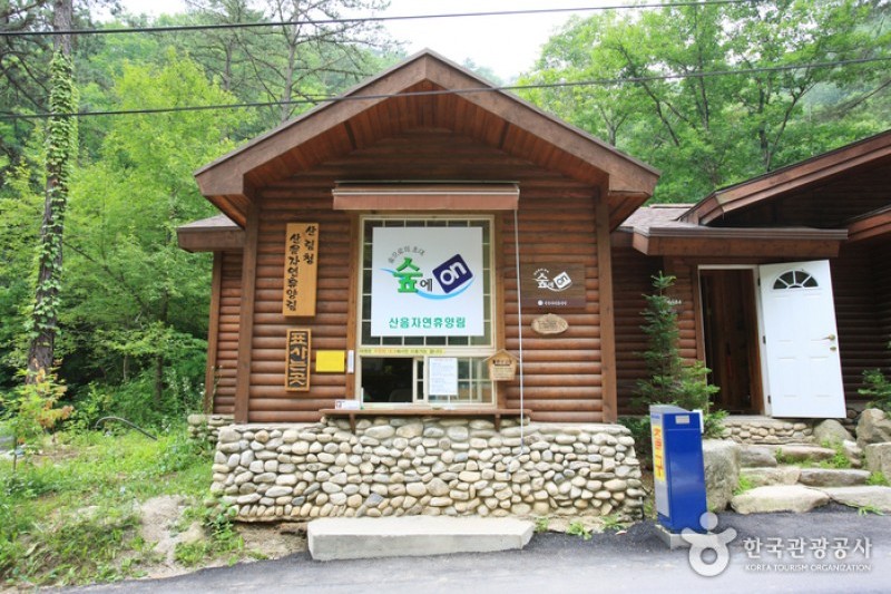 国立山陰自然休養林 (1/11)