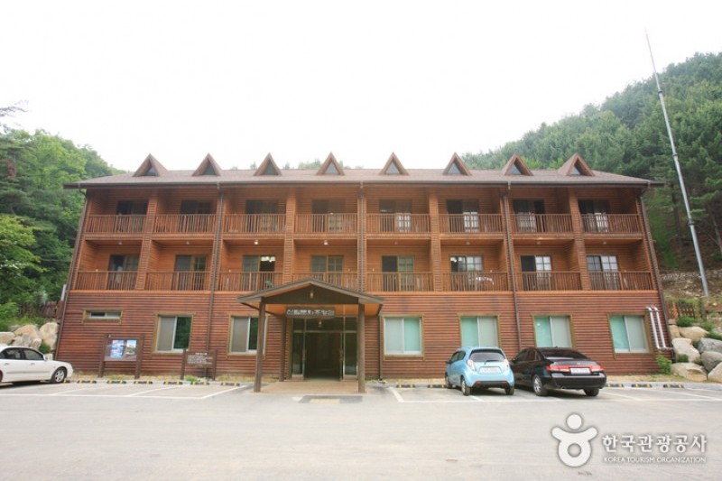 国立山陰自然休養林 (2/11)