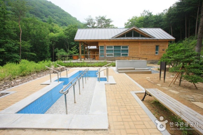 国立山陰自然休養林 (3/11)