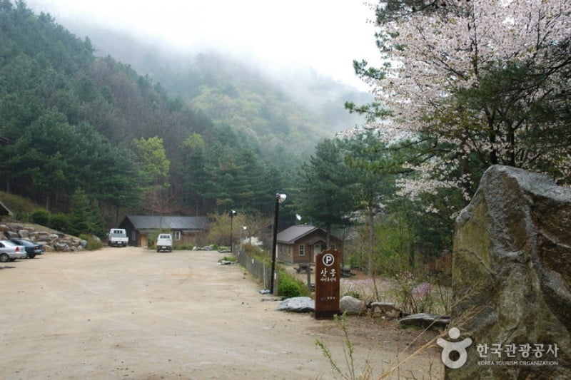国立山陰自然休養林 (11/11)