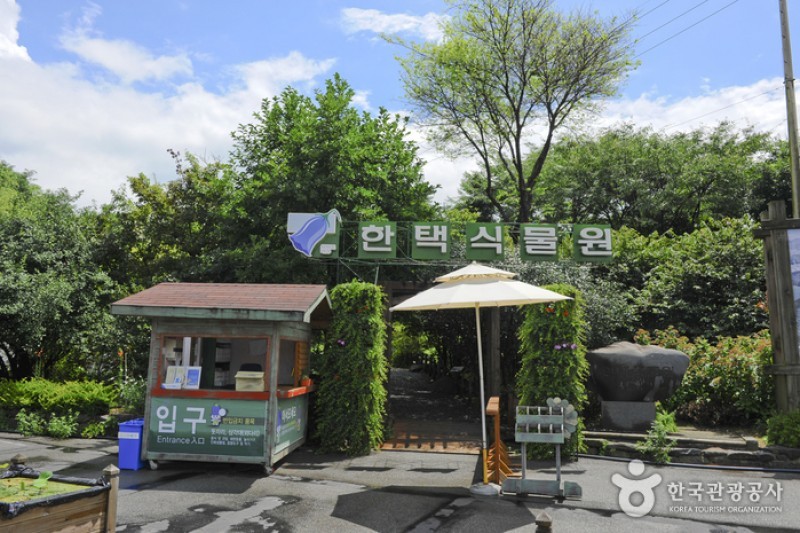 韓宅植物園 (4/31)