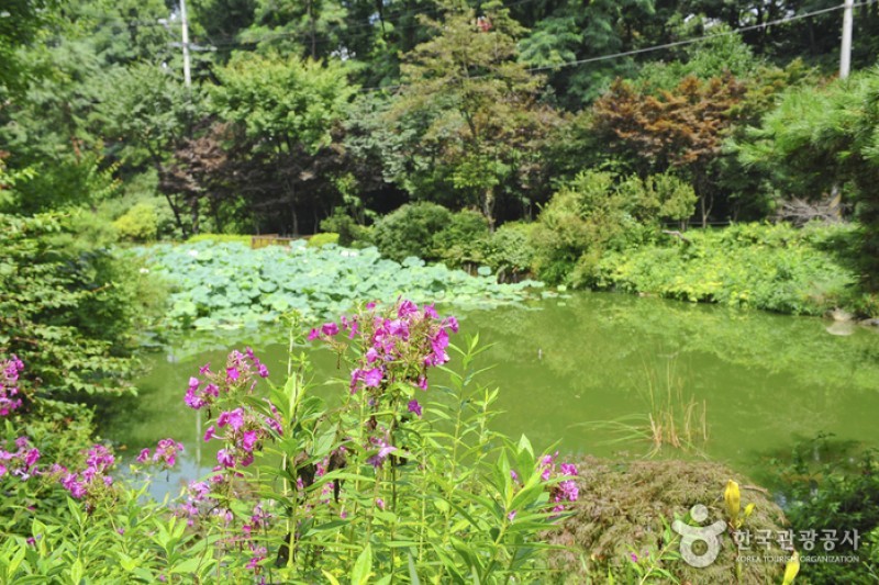 韓宅植物園 (7/31)