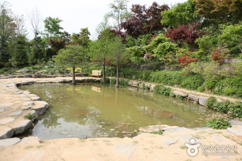 韓宅植物園 (10/31)
