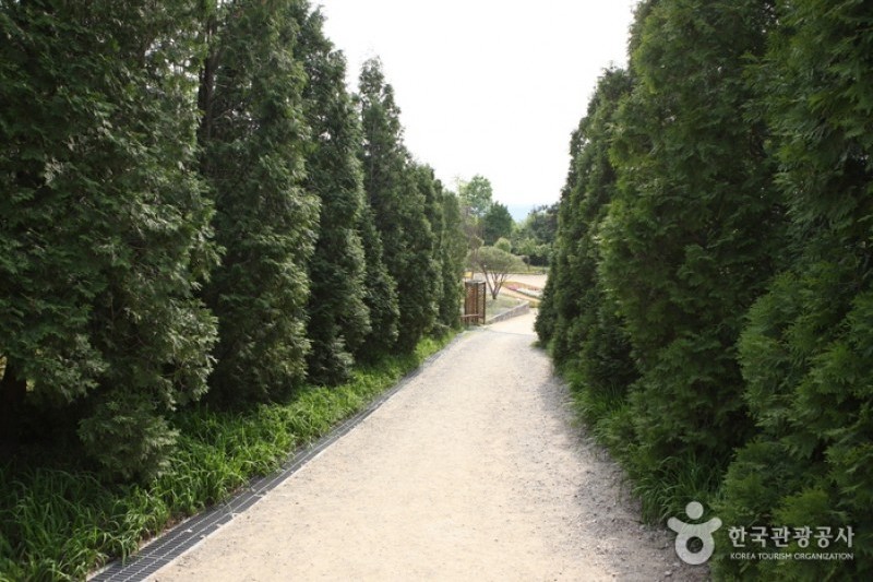韓宅植物園 (13/31)