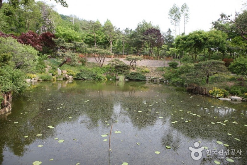 韓宅植物園 (16/31)