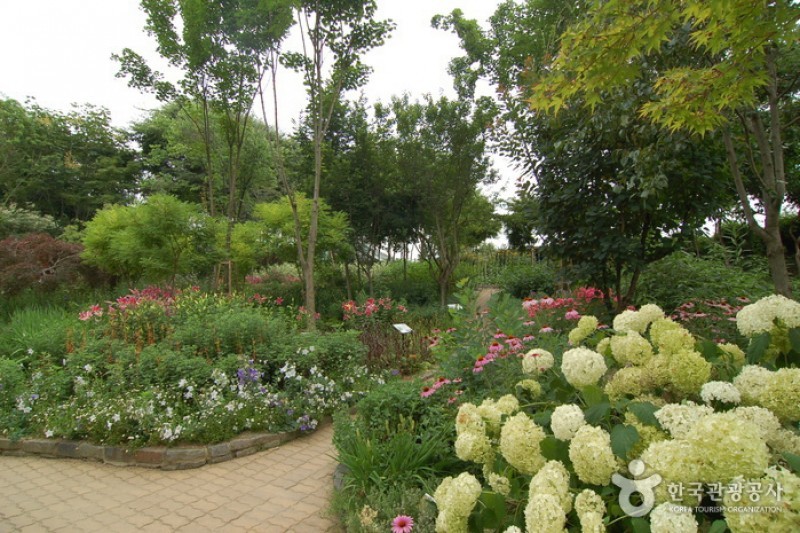 韓宅植物園 (17/31)