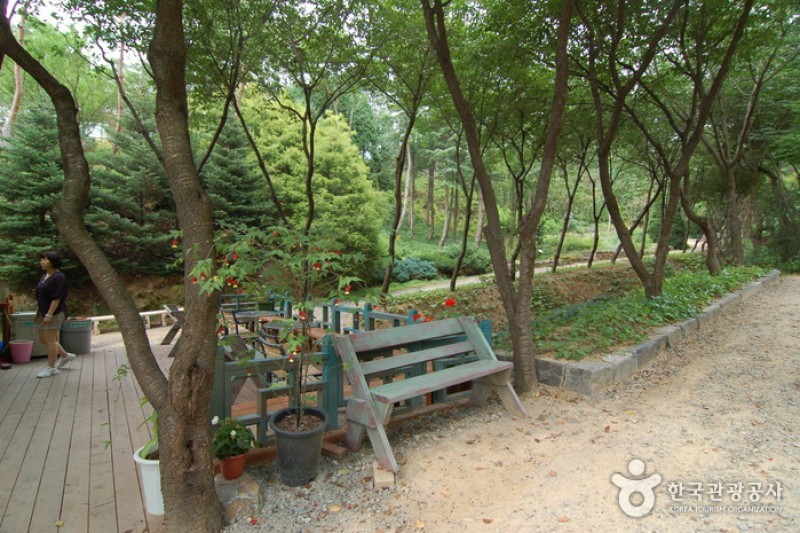 韓宅植物園 (18/31)