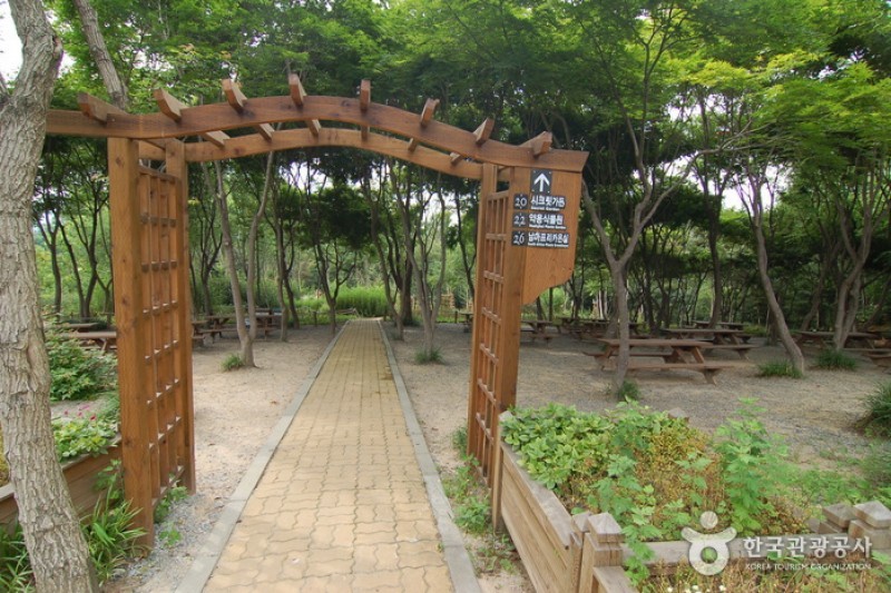 韓宅植物園 (19/31)
