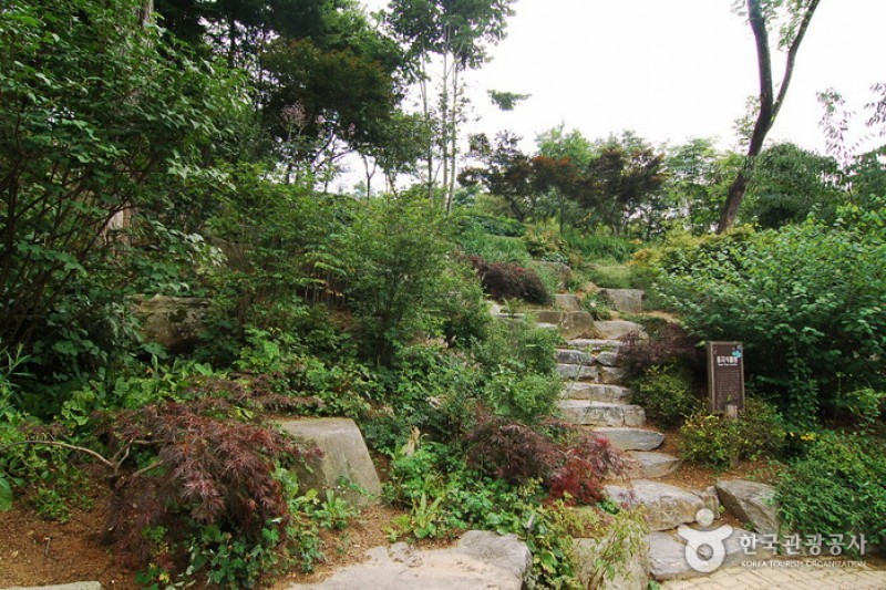 韓宅植物園 (20/31)
