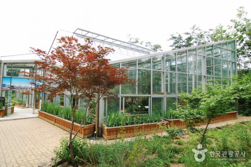 韓宅植物園 (21/31)