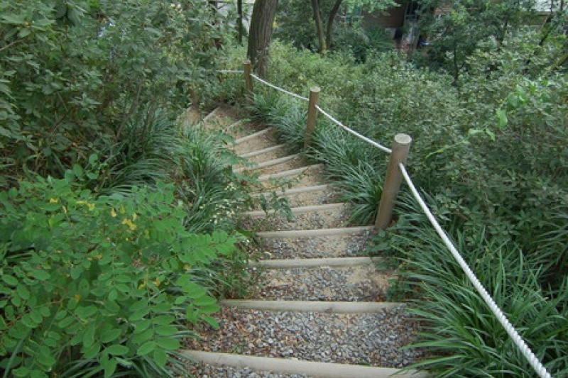 韓宅植物園 (23/31)