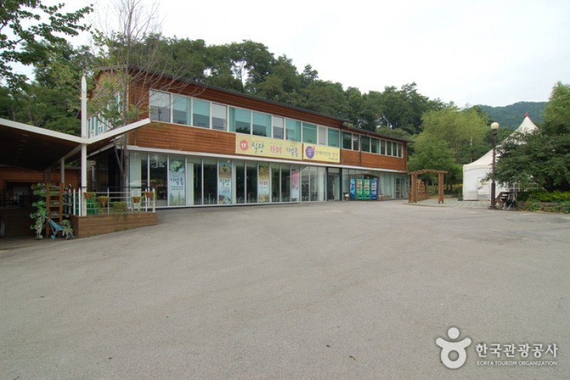 韓宅植物園 (27/31)