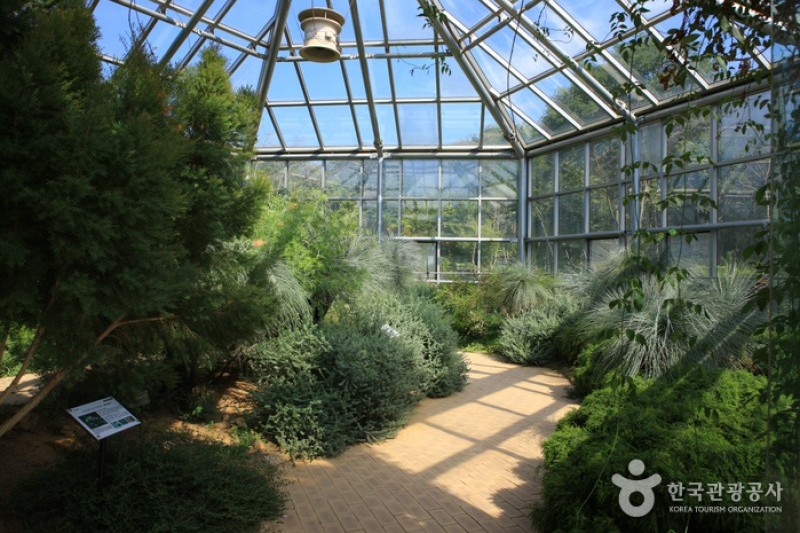 韓宅植物園 (31/31)