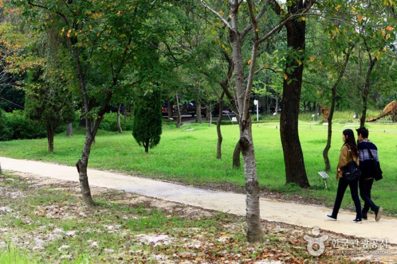 京畿道立ムルヒャンギ樹木園 (1/48)