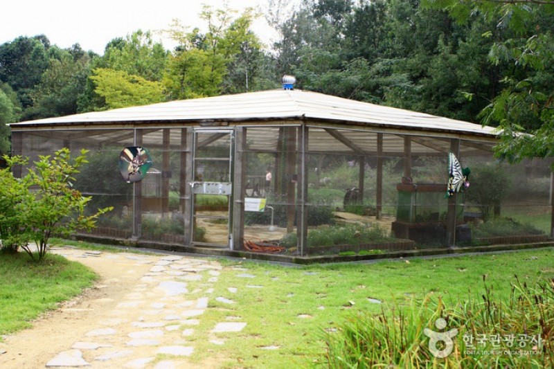 京畿道立ムルヒャンギ樹木園 (18/48)