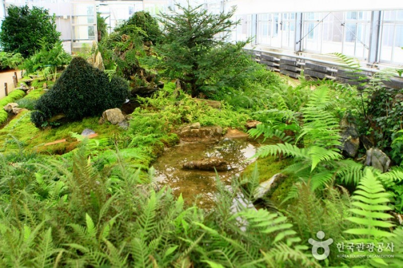京畿道立ムルヒャンギ樹木園 (22/48)