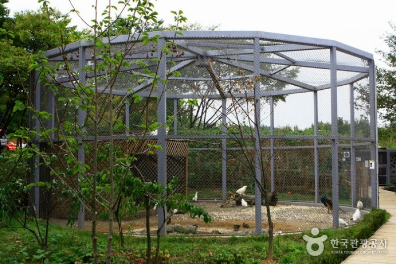 京畿道立ムルヒャンギ樹木園 (32/48)