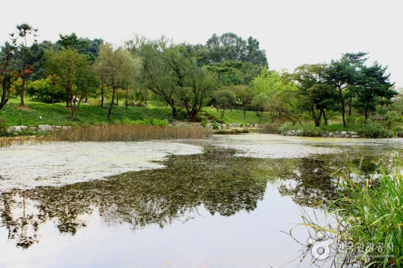 京畿道立ムルヒャンギ樹木園 (41/48)