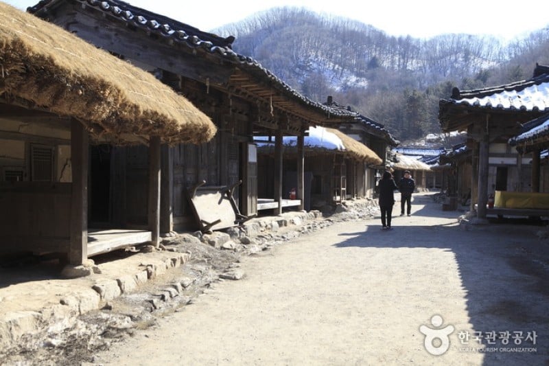 アラクノピア生態樹木園・胄弼クモ博物館 (2/17)
