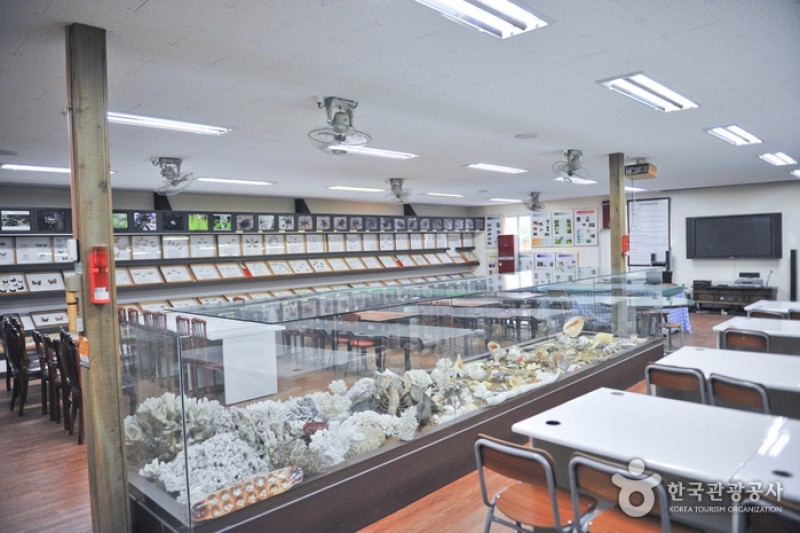 アラクノピア生態樹木園・胄弼クモ博物館 (17/17)