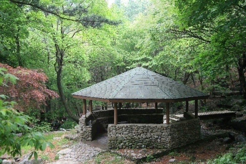 祝霊山自然休養林  (10/12)
