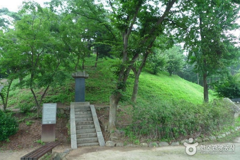 茶山遺跡地（南楊州) (19/31)