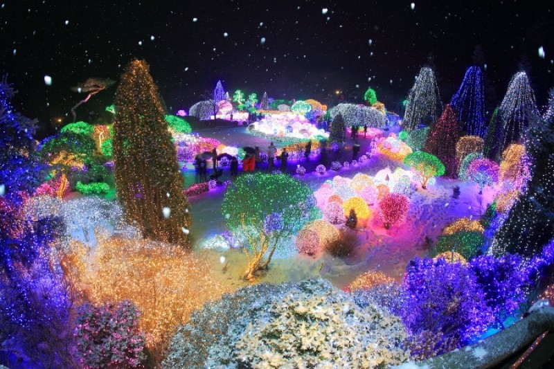 アチムゴヨ樹木園 五色ピョルビッ庭園展 (3/18)