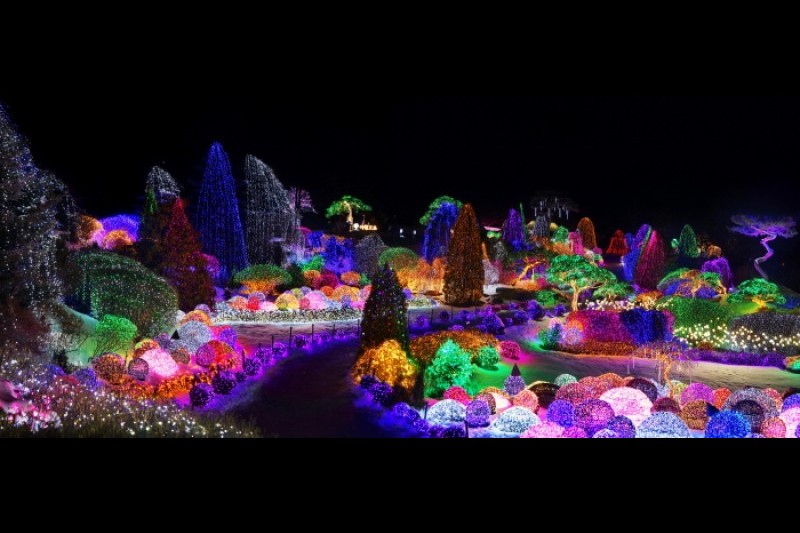 アチムゴヨ樹木園 五色ピョルビッ庭園展 (4/18)