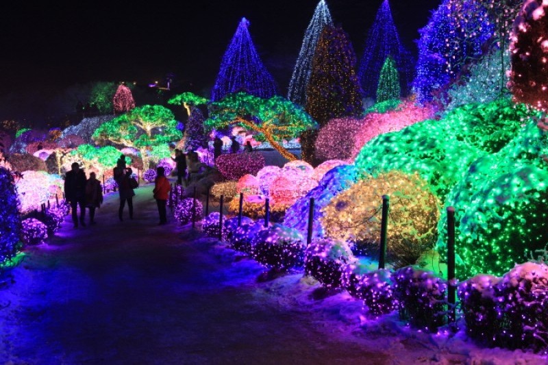 アチムゴヨ樹木園 五色ピョルビッ庭園展 (7/18)