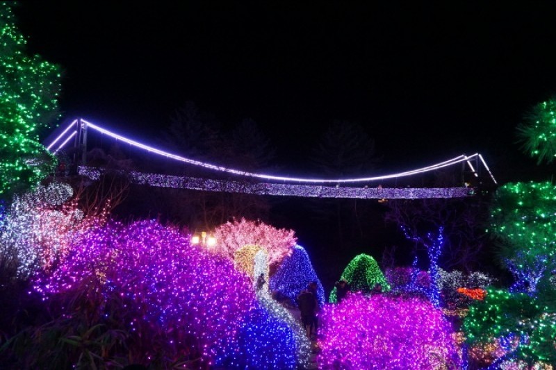 アチムゴヨ樹木園 五色ピョルビッ庭園展 (9/18)