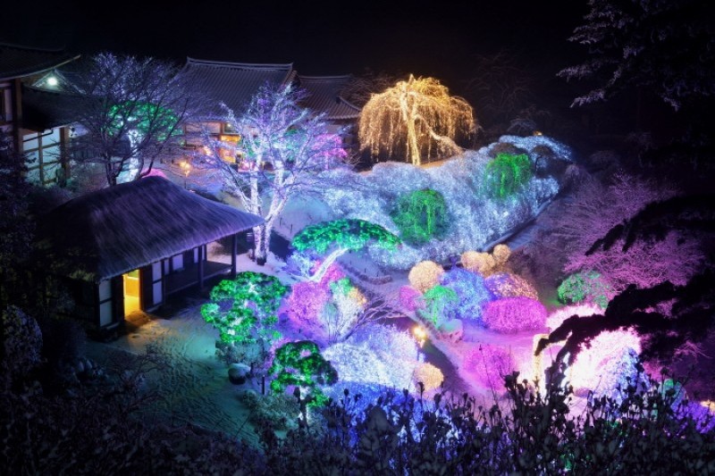アチムゴヨ樹木園 五色ピョルビッ庭園展 (10/18)