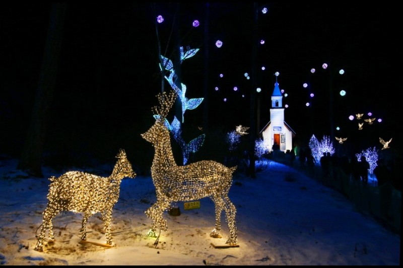 アチムゴヨ樹木園 五色ピョルビッ庭園展 (12/18)