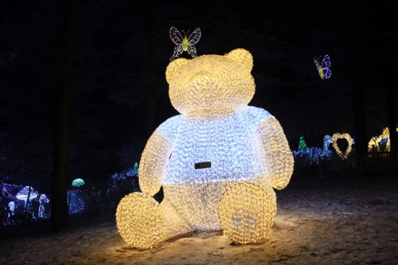 アチムゴヨ樹木園 五色ピョルビッ庭園展 (14/18)