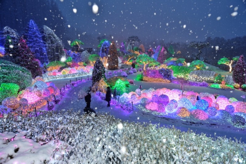 アチムゴヨ樹木園 五色ピョルビッ庭園展 (15/18)