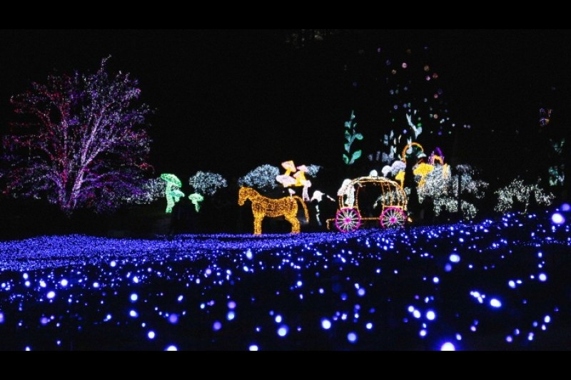アチムゴヨ樹木園 五色ピョルビッ庭園展 (16/18)