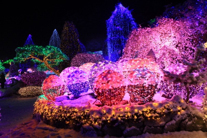 アチムゴヨ樹木園 五色ピョルビッ庭園展 (17/18)