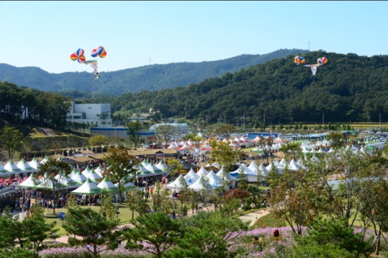 安城男寺党バウドギ祭り (1/4)