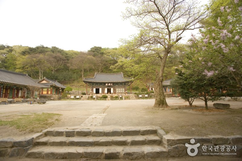 青龍寺（청룡사） (1/15)