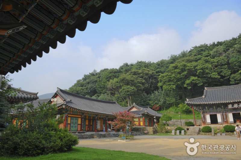 青龍寺（청룡사） (3/15)