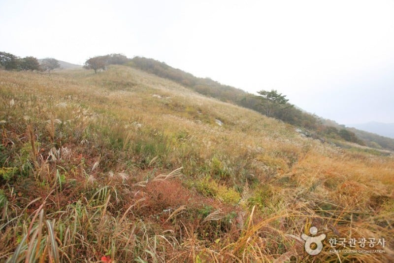 鳴声山 (18/18)
